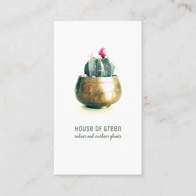 Plante de Cactus Succulent Carte de visite de pépi (Devant)