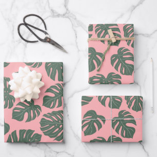 Plante de feuille Monstera Botanique en rose et ve