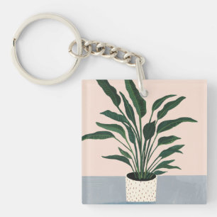 Plante d'intérieur