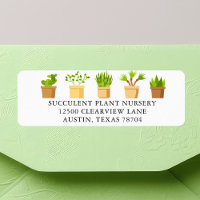 Plante Nursery Succulent Botanist Adresse de retou