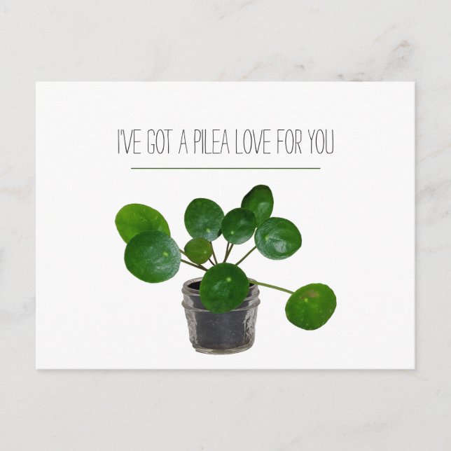 Plante Pun Pilea Funny Carte postale Valentine (Devant)