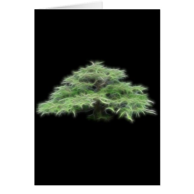 Plante verte d'arbre de bonsaïs (Devant)