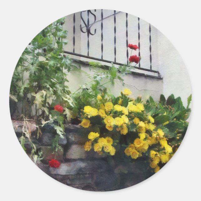 Planter With Yellow Flowering Cactus Classic Round Sticker (Front)