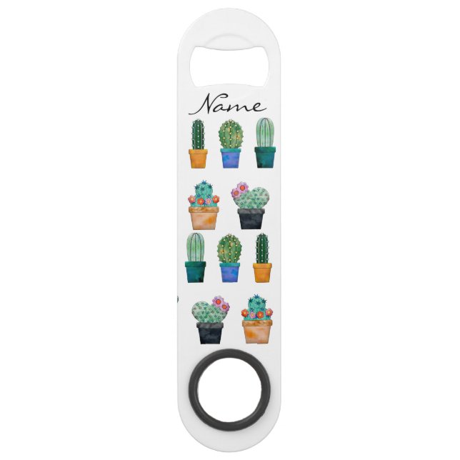 Plantes de Cactus assortés Thunder_Cove (Devant)