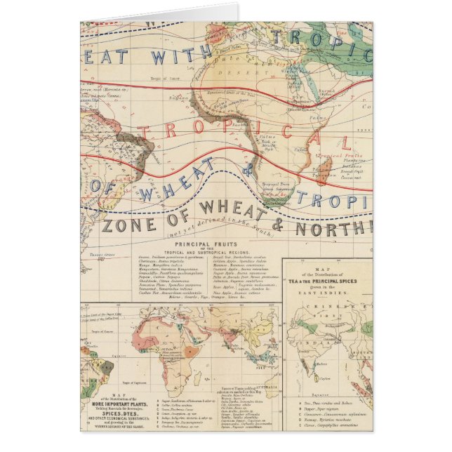 Plantes de distribution (Devant)