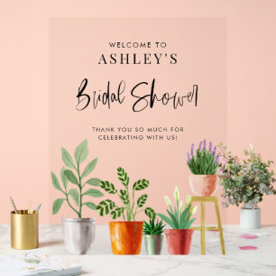 Plantes en pot Boho pour la fête de douche de la m