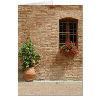 Plantes en pot de la Toscane