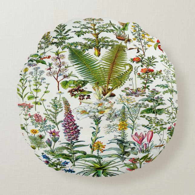 Plantes médicinaux Coussin d'accent (Devant)