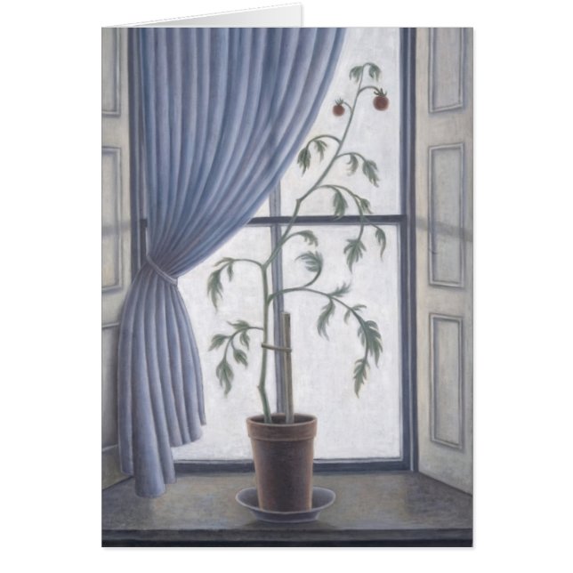 Plantez dans la fenêtre 2003 (Devant)