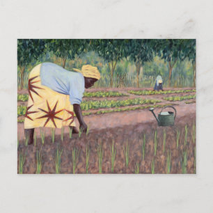 Planting Onions 2005 Postcard