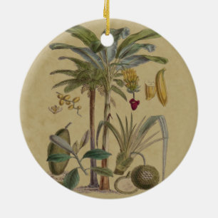 plAntique Tropical Palm Fruit Botanical Ceramic Ornament