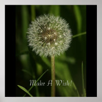 Plants and Water Imagery