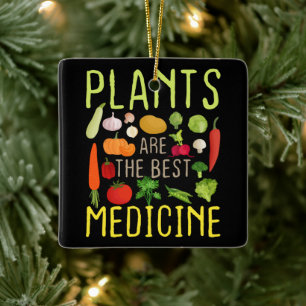 Plants Are The Best Medicine Cool Vegan Vegetarian Ceramic Ornament