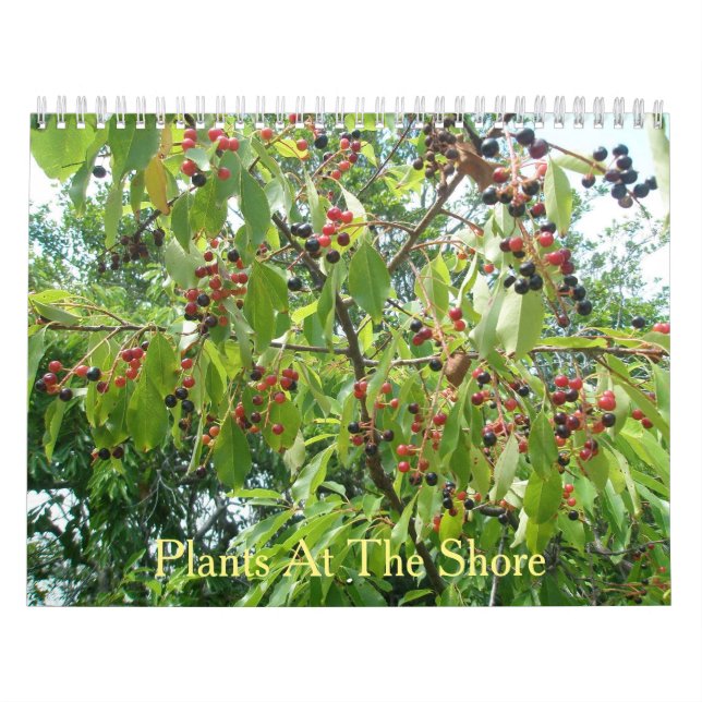 Plants at The Shore Calendar (Cover)