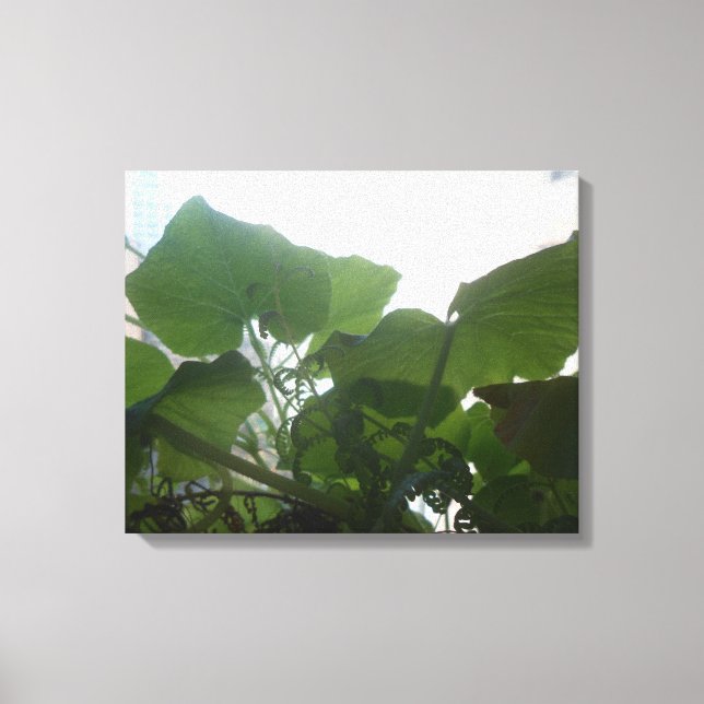 Plants Canvas Print (Front)