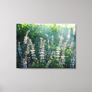 plants canvas print