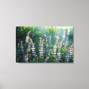 plants canvas print