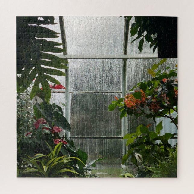 Plants Inside Greenhouse on Rainy Day Jigsaw Puzzle (Vertical)