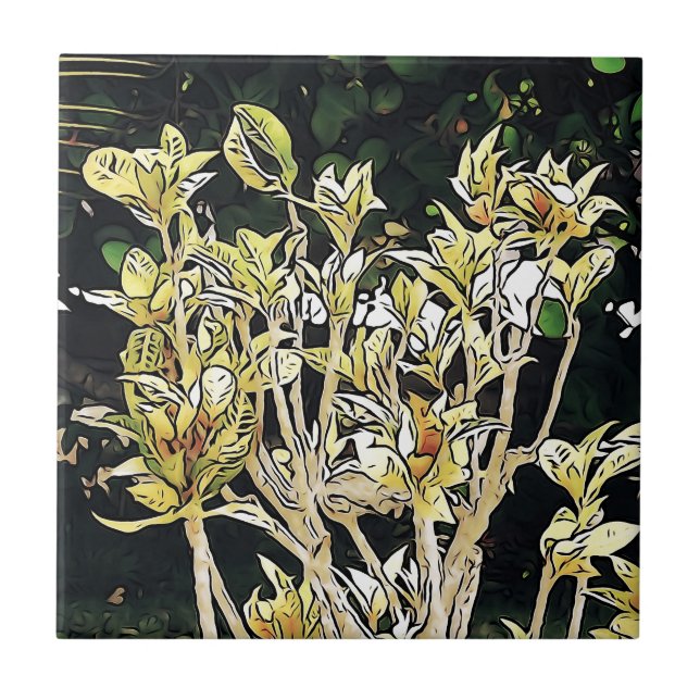 Plants of Cuba Tile (Front)