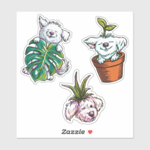 Planty Pups: Jack