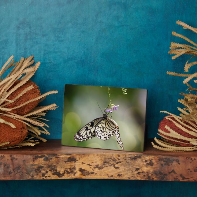 Plaque à papillon Art déco (Côté)