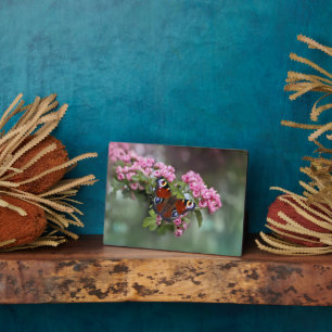 Plaque à papillon Art déco