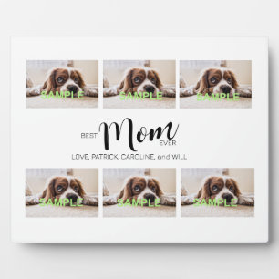 Plaque à six photos Collecte à papier avec acier