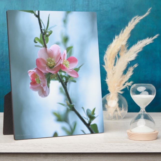 Plaque Apple Blossom #P0365 (Côté)