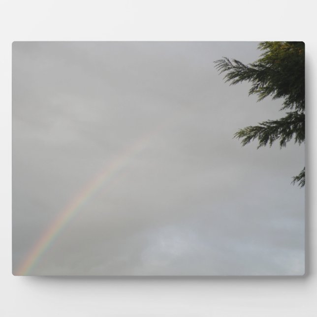 Plaque arc-en-ciel (Devant)