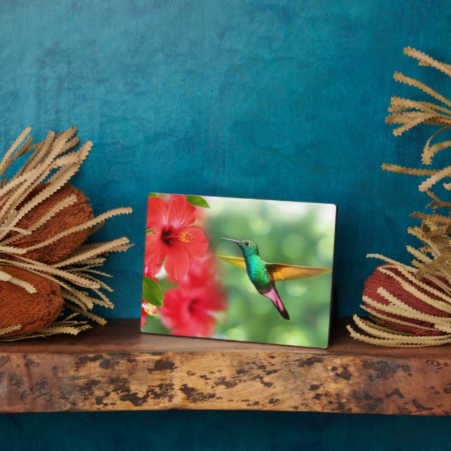 Plaque Art Décor-Hummingbird (Côté)