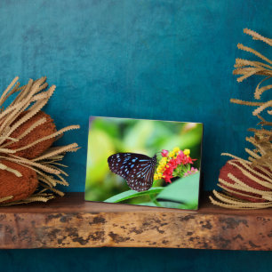 Plaque Art Décor Papillon