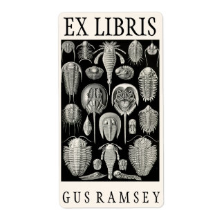 Plaque d'accueil Ernst Haeckel Aspidonia