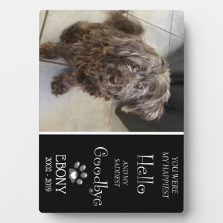 Plaque d'adieu triste (Singulaire)