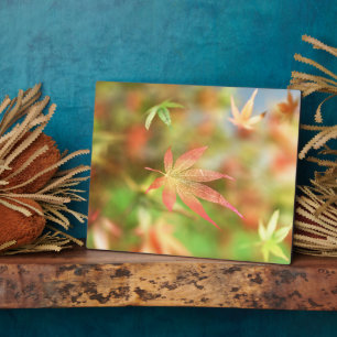 Plaque d'automne Filigree