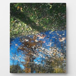 Plaque d'automne Miroir Mirror