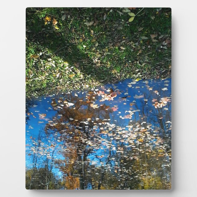 Plaque d'automne Miroir Mirror (Devant)