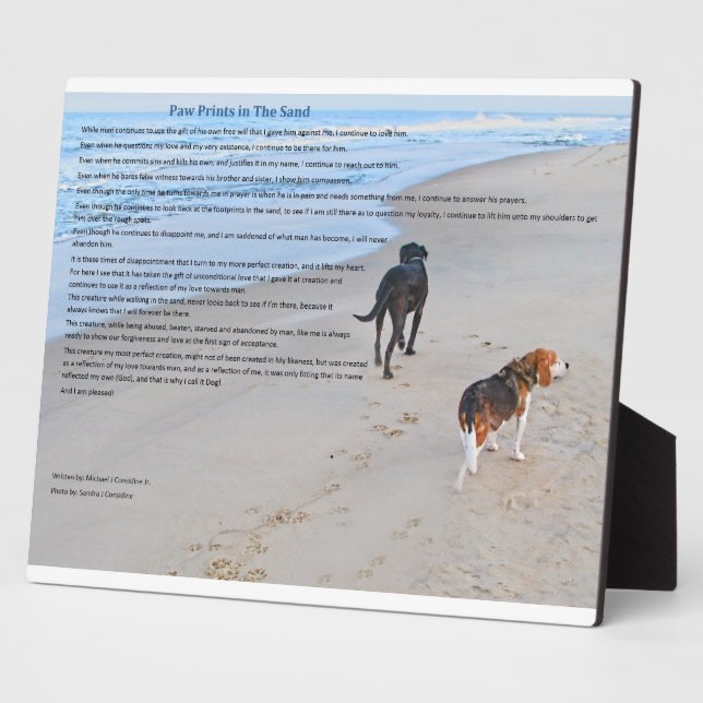 Plaque de 8 po x 10 po avec acier (Côté)