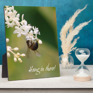 Plaque de motivation "Hang in There"