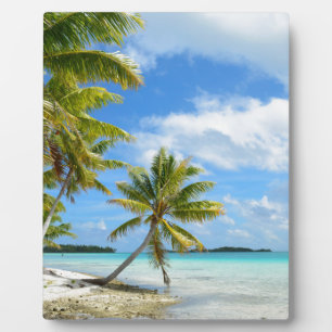 Plaque de plage de palmiers