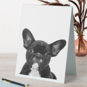 Plaque De Table Chien adorable Le visage de Chien de France Noir