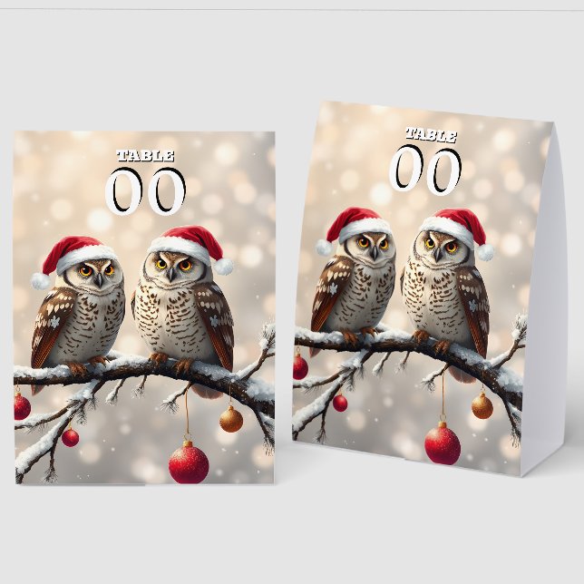 Plaque De Table Snow Owls Christmas editable table tent signs (Recto/Verso)