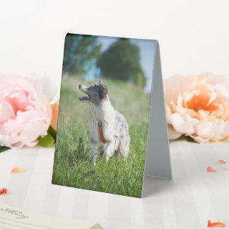 Plaque De Table utilisation de la tente