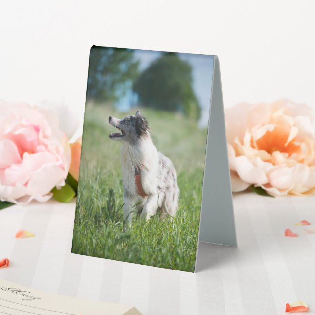 Plaque De Table utilisation de la tente (In SItu (Mariage))