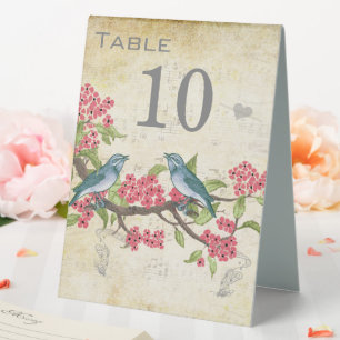 Plaque De Table Vintage Inséparable Rose Rouge Turquoise Bleu Vert