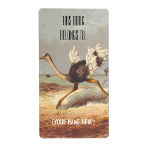 Plaque d'illustration d'autruche colorée