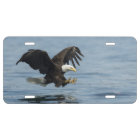 Eagle à l'approche