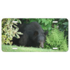 Ours noir - Plaque de licence "Hello Cubby"