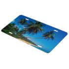 Porto Rico, Isla Verde, Palmiers