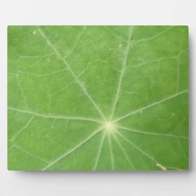 Plaque feuille de Nasturtium (Devant)