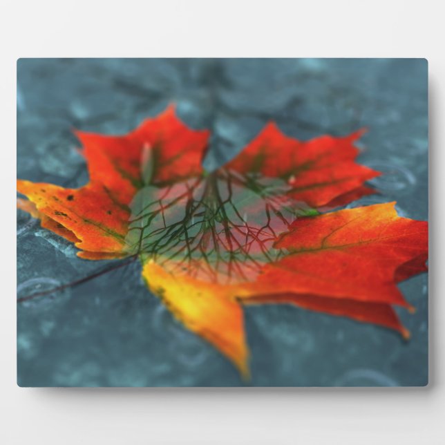 Plaque image rétroréflexion (Devant)